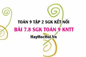 Bài 7.8 SGK Toán 9 tập 2 Kết nối tri thức